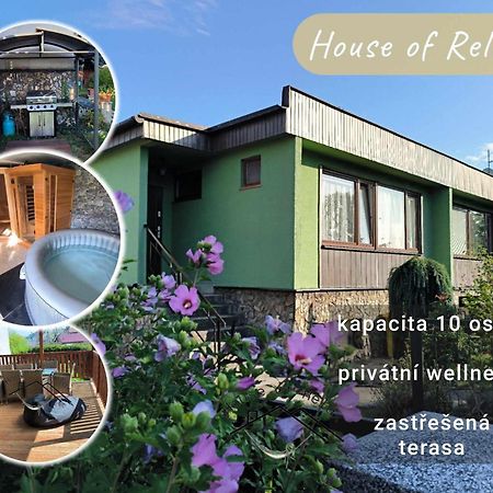 House Of Relax Villa Recany nad Labem Exterior photo